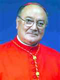 cardinal Renato Martino
