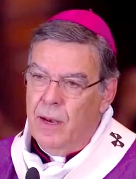 Mgr Michel Aupetit