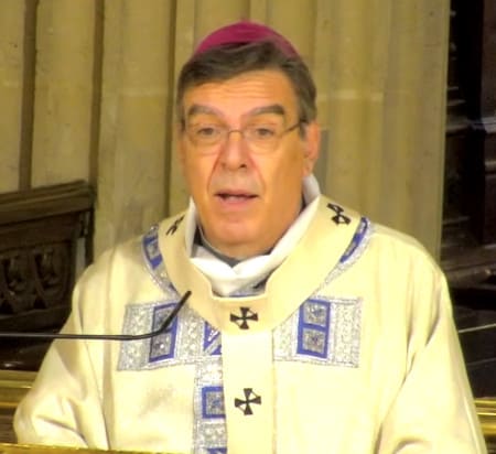 Mgr Michel Aupetit